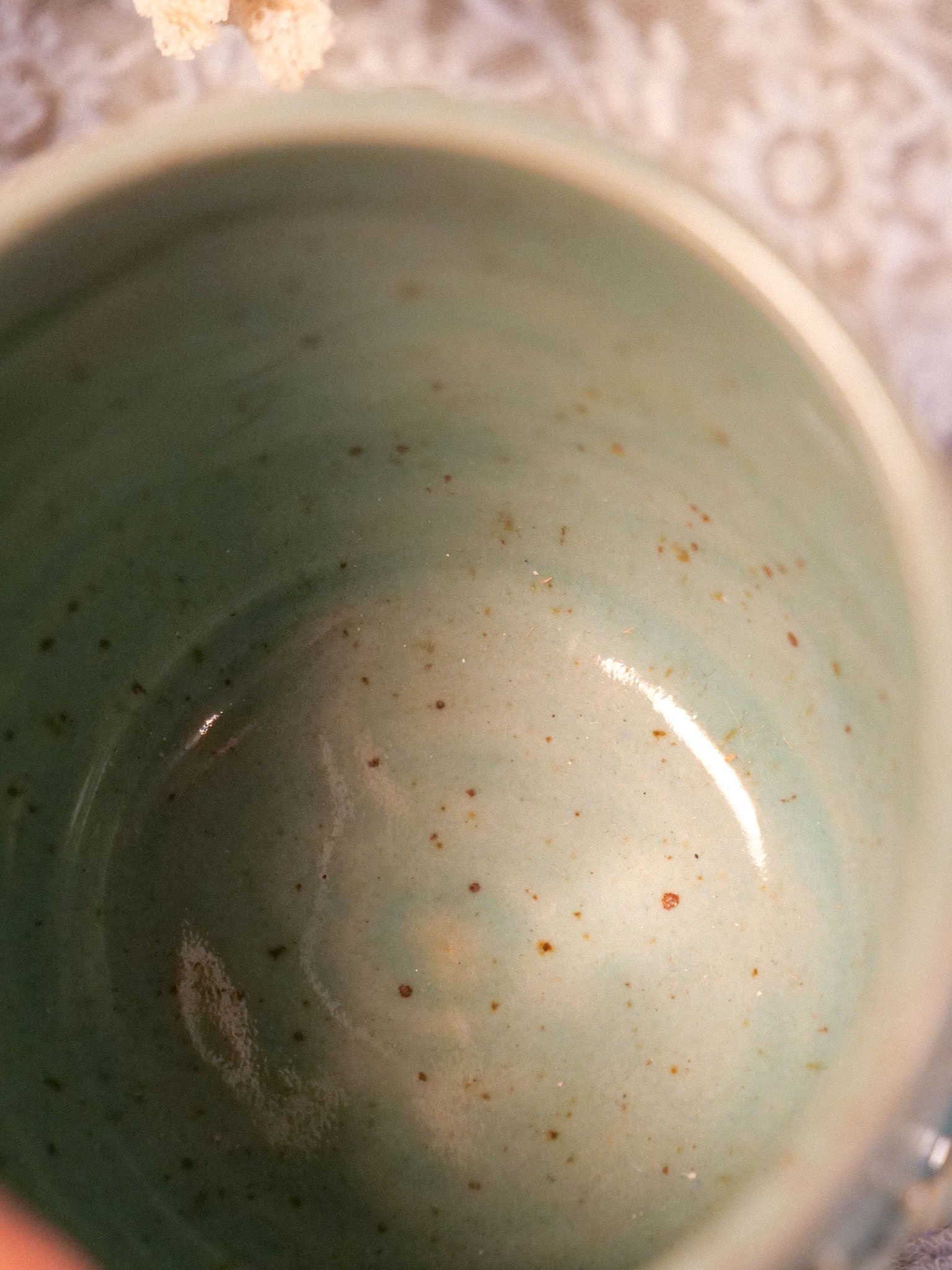 Pot Coquillages & Crustacés – Image 8